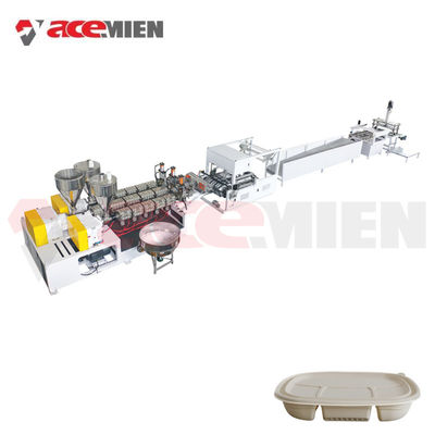 quality  Sheet Lunch Container Fast Food Box Production Line Making Machine factory